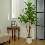 6FT/5FT Tall Faux Dracaena Tree Artificial Plant with Natural Wood Trunk & Vibrant Green Leaves in White Planter