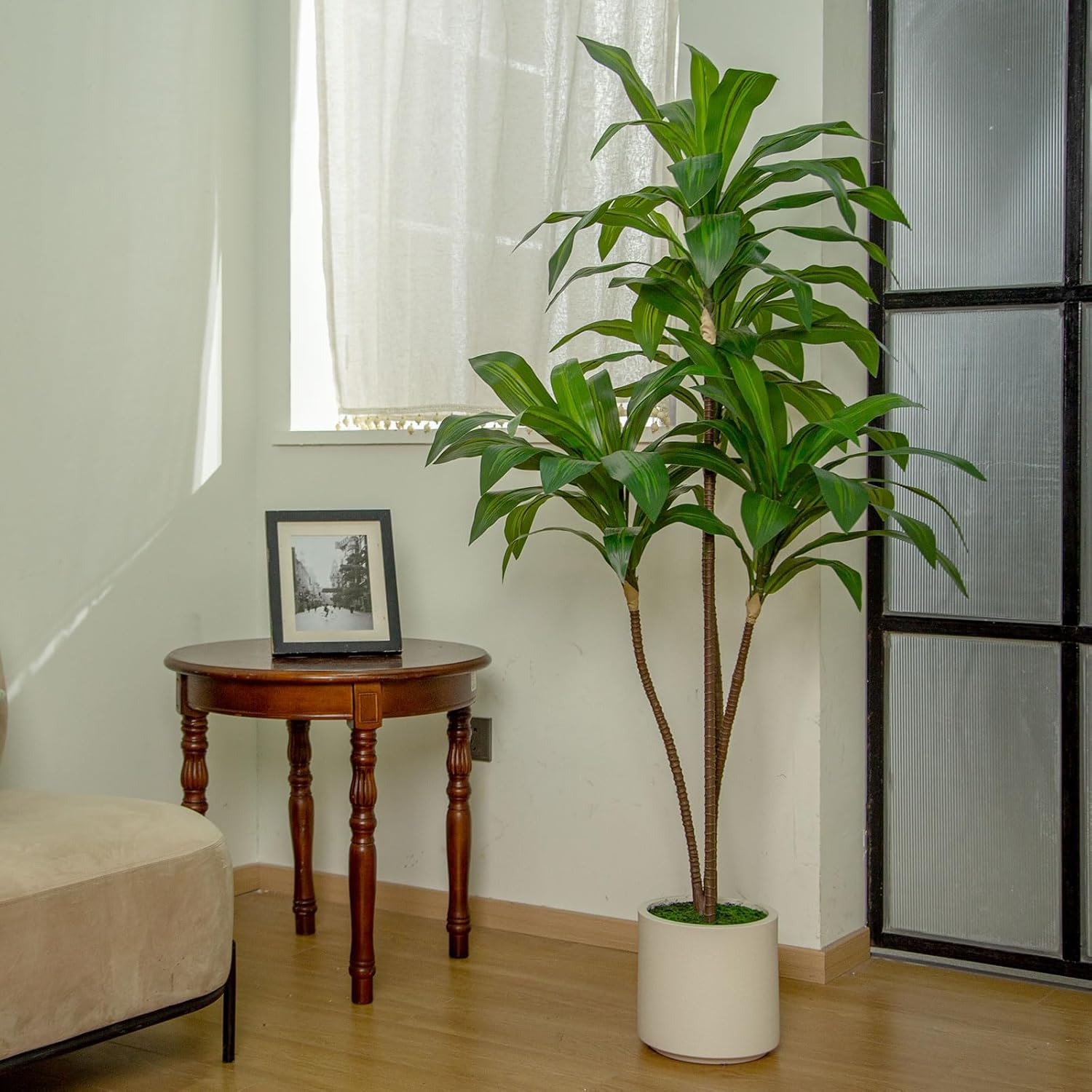 6FT/5FT Tall Faux Dracaena Tree Artificial Plant with Natural Wood Trunk & Vibrant Green Leaves in White Planter