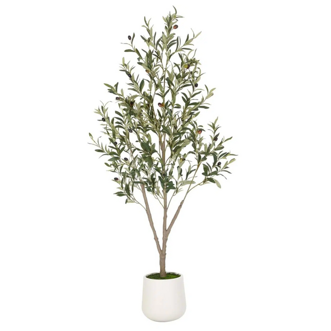 VIVATREES Olive Trees Artificial Indoor, 5 ft Faux Olive Tree with White Planter, Artificial Plants with Natural Wood Trunk and Lifelike Fruits for Home Office Decor