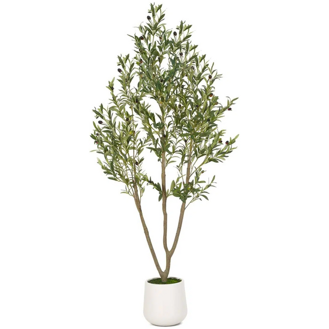 VIVATREES Artificial Olive Tree, 6FT Tall Faux Olive Tree with White Planter, Artificial Plants with Natural Wood Trunk and Lifelike Fruits for Home Office Decor