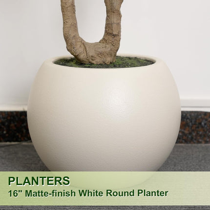 VIVATREES Olive Tree Artificial Indoor, 8FT Tall Faux Olive Tree with 16in Round White Planter, Artificial Plants with Natural Wood Trunk and Lifelike Fruits for Home Office Decor