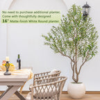 VIVATREES Olive Tree Artificial Indoor, 8FT Tall Faux Olive Tree with 16in Round White Planter, Artificial Plants with Natural Wood Trunk and Lifelike Fruits for Home Office Decor