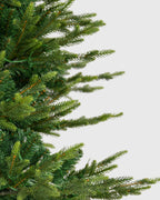 Vivatrees Foliage Sample Kit