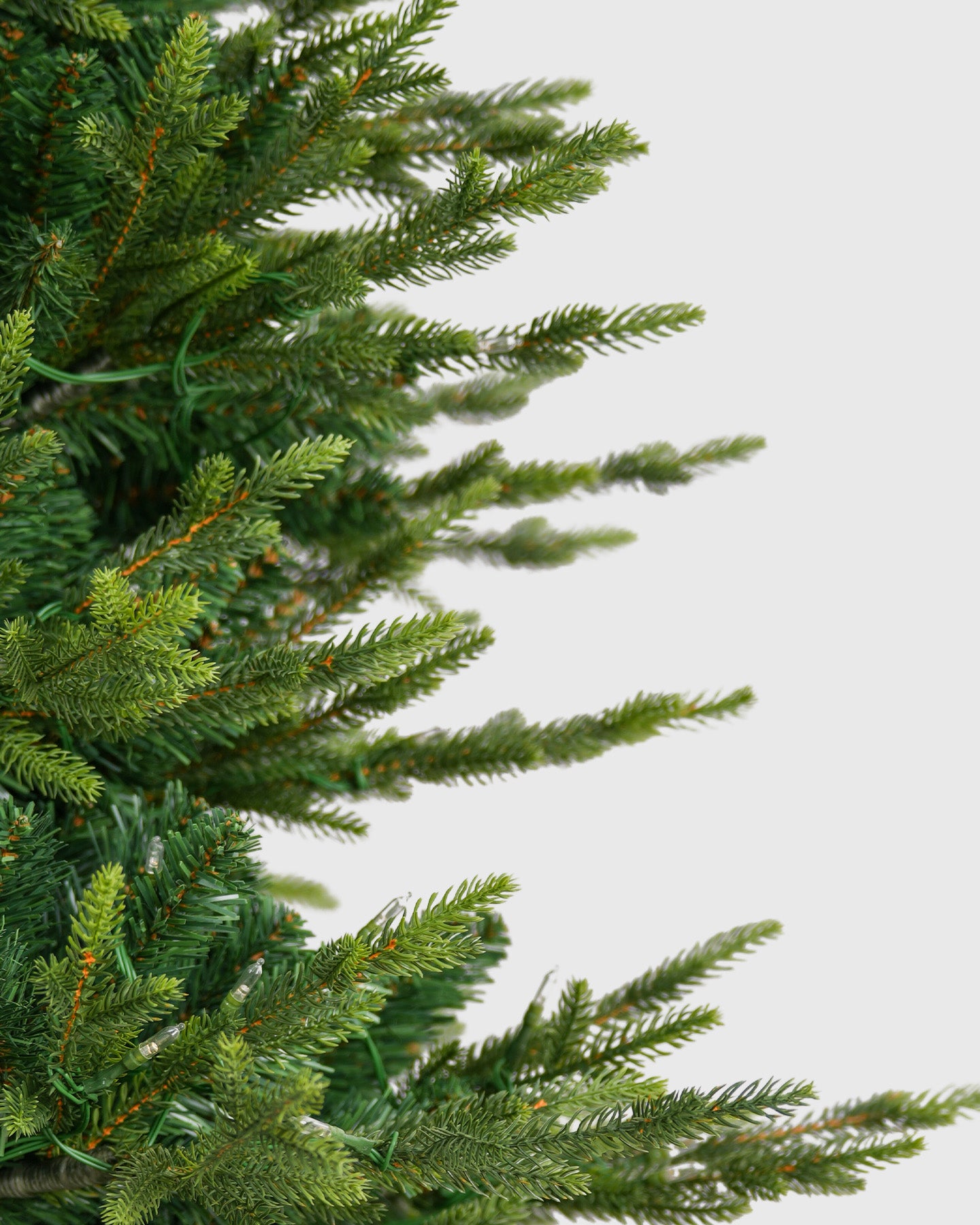 Vivatrees Foliage Sample Kit