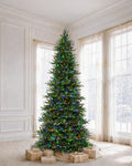 9' EverJoy Pre-Lit Fir Artificial Christmas Tree with 600 Warm White & Color LED Lights