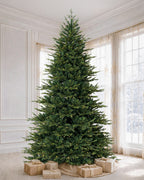 12' EverJoy Pre-Lit Fir Artificial Christmas Tree with 850 Warm White & Color LED Lights