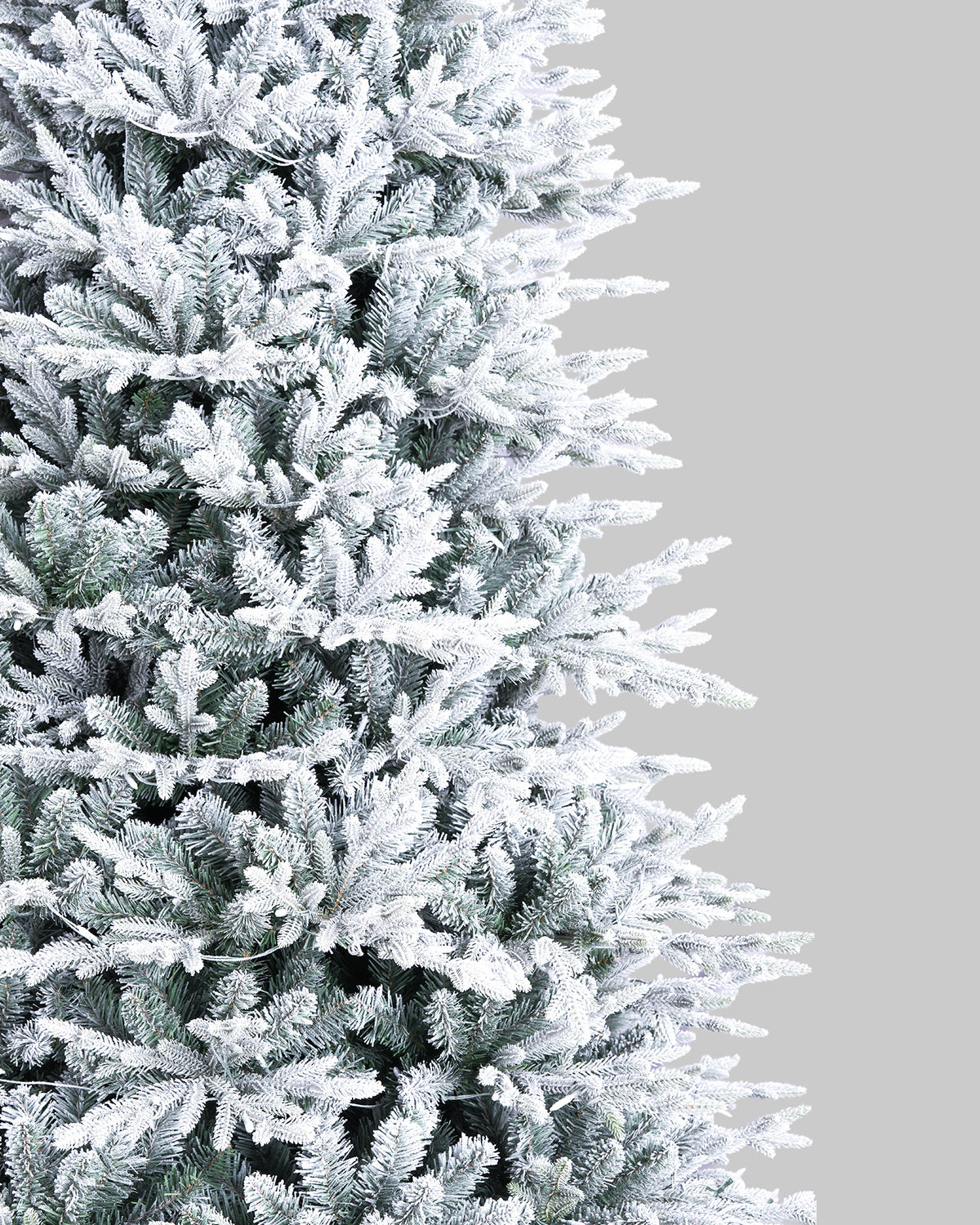 Vivatrees Foliage Sample Kit
