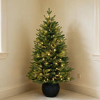 3' Merriglen Potted Fir Pre-Lit Artificial Christmas Tree with Warm White Lights