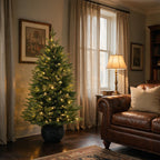 3' Merriglen Potted Fir Pre-Lit Artificial Christmas Tree with Warm White Lights