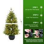 3' Merriglen Potted Fir Pre-Lit Artificial Christmas Tree with Warm White Lights