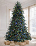 12' Everglow Pre-Lit Balsam Fir Artificial Christmas Tree with 2150 Warm White & Color LED Lights