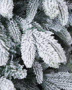 9' Frostwood Pre-Lit Flocked Fraser Fir Artificial Christmas Tree with 1050 Warm White & Color LED Lights