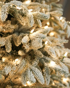 7.5' Frostwood Pre-Lit Flocked Fraser Fir Artificial Christmas Tree with 650 Warm White & Color LED Lights