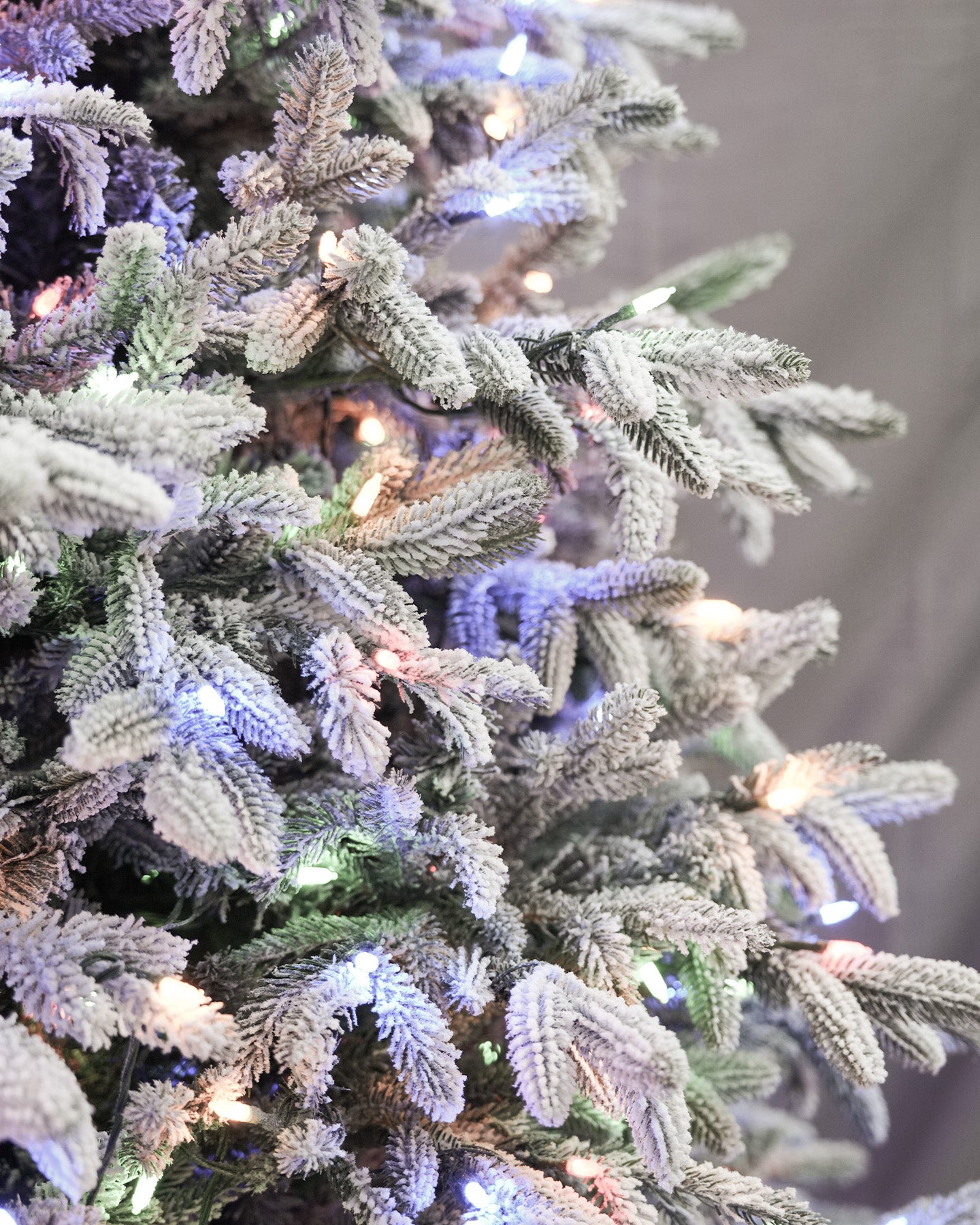 7.5' Frostwood Pre-Lit Flocked Fraser Fir Artificial Christmas Tree with 650 Warm White & Color LED Lights