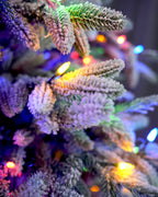 7.5' Frostwood Pre-Lit Flocked Fraser Fir Artificial Christmas Tree with 650 Warm White & Color LED Lights