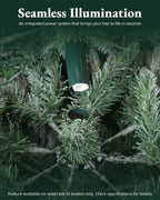 7.5' Frostwood Pre-Lit Flocked Fraser Fir Artificial Christmas Tree with 650 Warm White & Color LED Lights