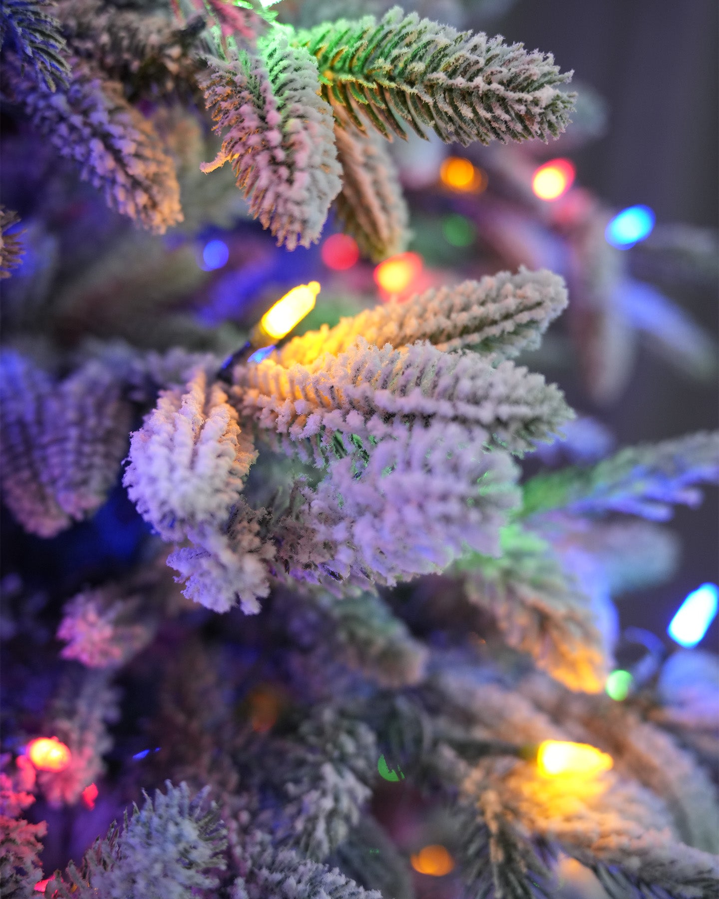 9' Frostwood Pre-Lit Flocked Fraser Fir Artificial Christmas Tree with 1050 Warm White & Color LED Lights