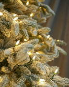 9' Frostwood Pre-Lit Flocked Fraser Fir Artificial Christmas Tree with 1050 Warm White & Color LED Lights