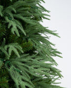 Vivatrees Foliage Sample Kit