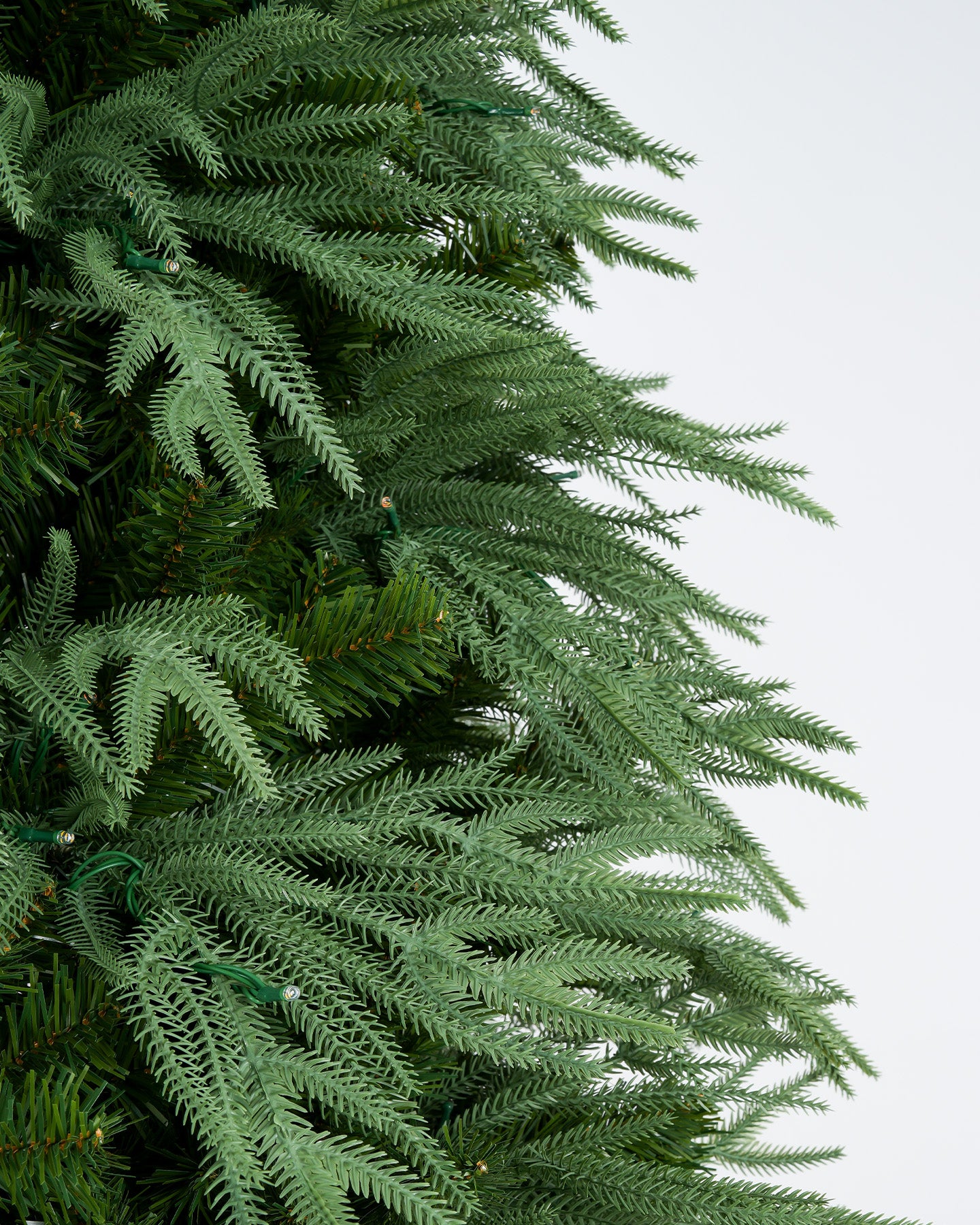 Vivatrees Foliage Sample Kit