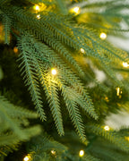 9' Northwood  Pre-Lit Fir Artificial Christmas Tree with 700 Warm White & Color LED Lights