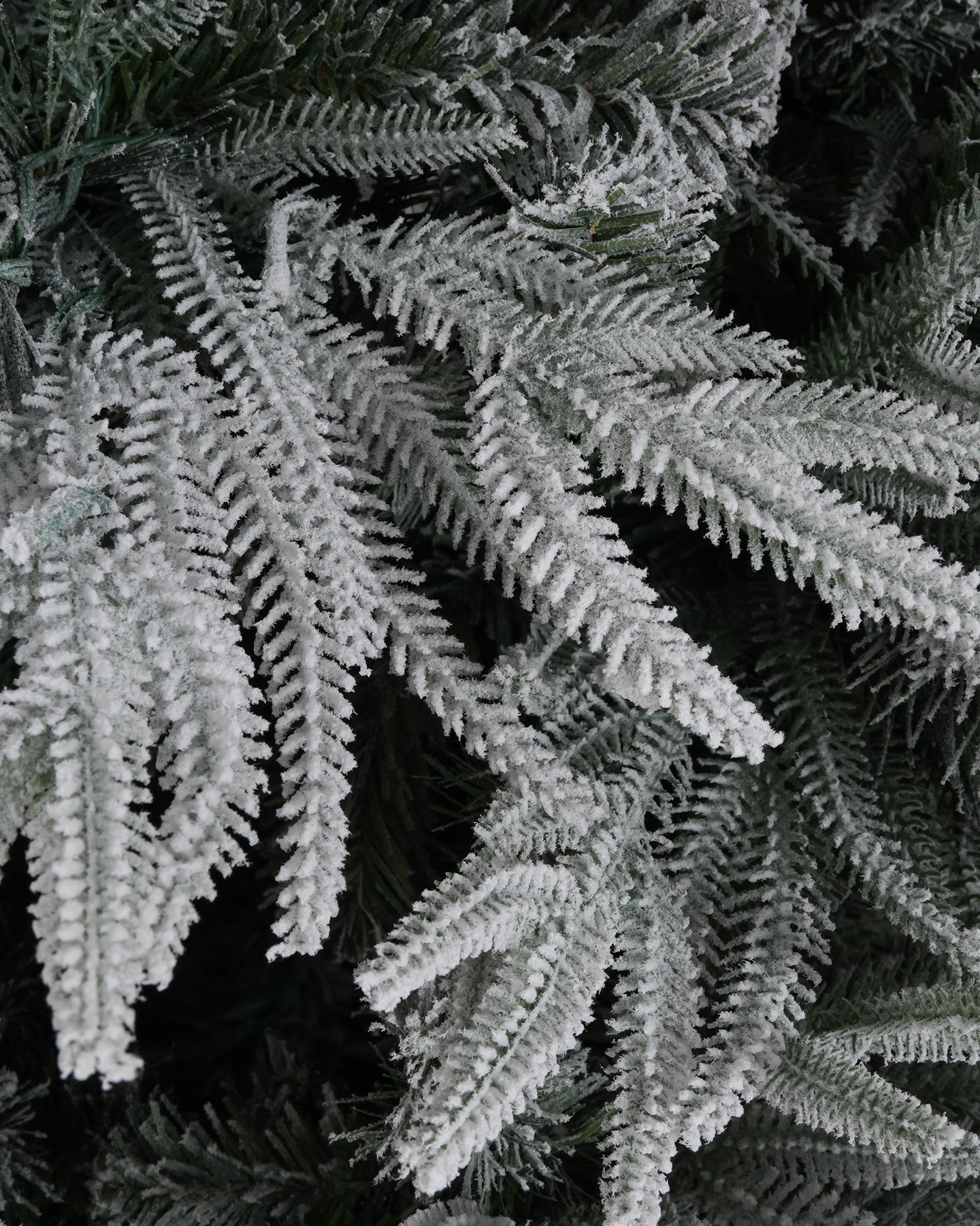 Vivatrees Foliage Sample Kit