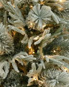7.5' Winterpine Pre-Lit Frosted Pine Artificial Christmas Tree with 550 Warm White & Color LED Lights