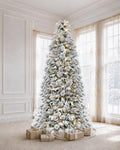 7.5' Winterpine Pre-Lit Frosted Pine Artificial Christmas Tree with 550 Warm White & Color LED Lights