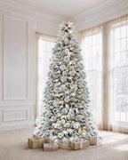7.5' Winterpine Pre-Lit Frosted Pine Artificial Christmas Tree with 550 Warm White & Color LED Lights
