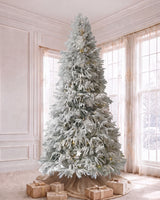 7.5' Winterpine Pre-Lit Frosted Pine Artificial Christmas Tree with 550 Warm White & Color LED Lights